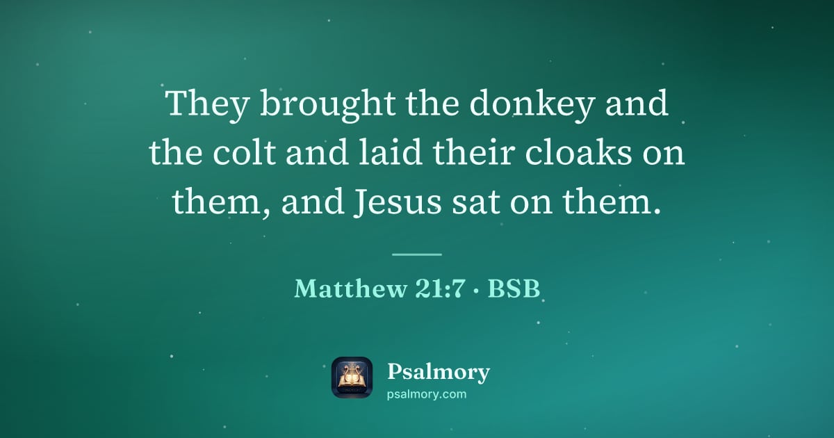 Matthew 21:7 verse artwork: They brought the donkey and the colt and laid their cloaks on them, and Jesus sat on them.
