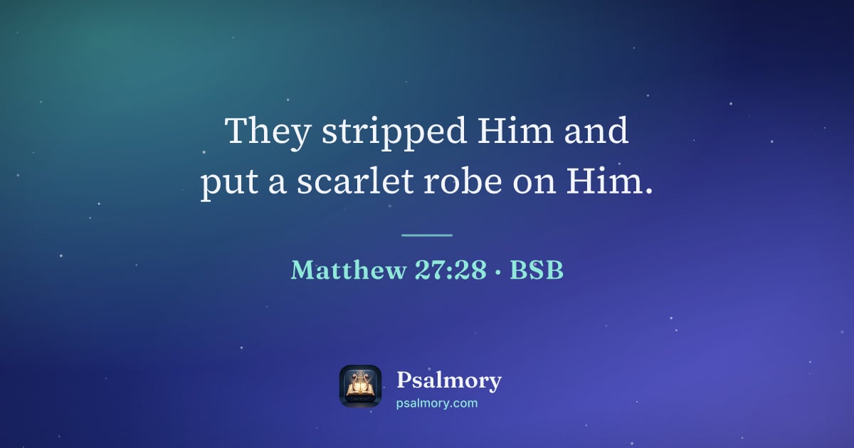 Matthew 27:28 verse artwork: They stripped Him and put a scarlet robe on Him.