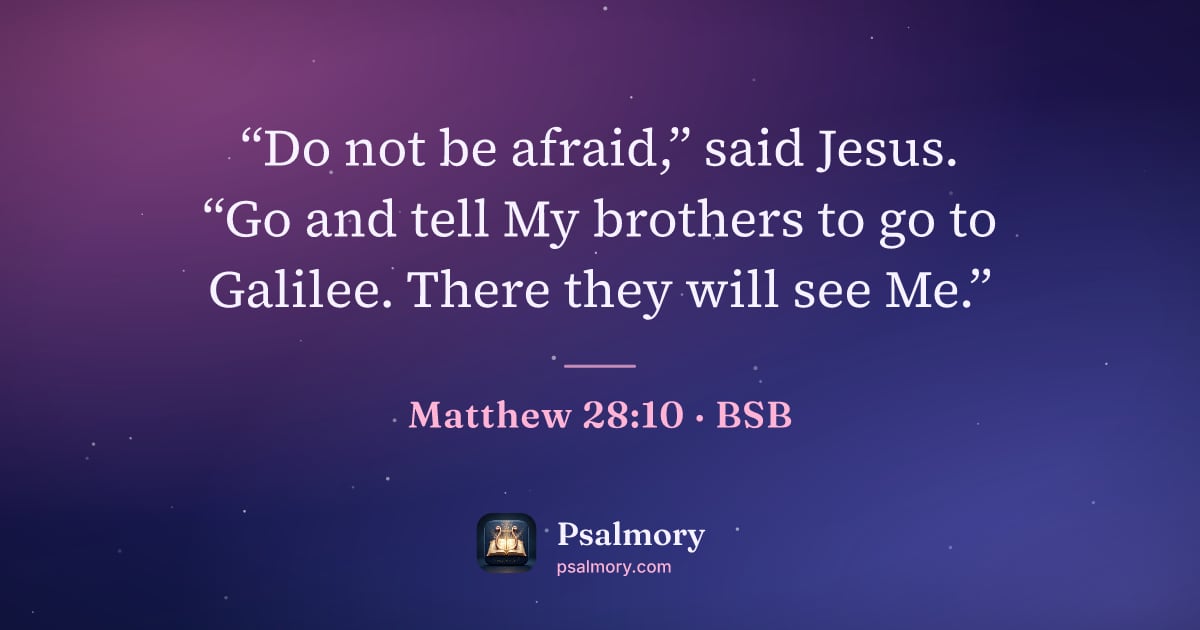Matthew 28:10 verse artwork: “Do not be afraid,” said Jesus. “Go and tell My brothers to go to Galilee. There they…