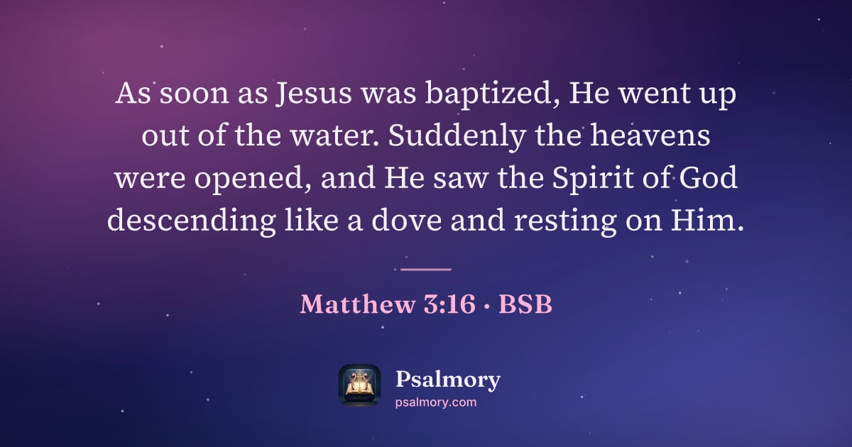 Matthew 3:16 verse artwork: As soon as Jesus was baptized, He went up out of the water. Suddenly the heavens were…