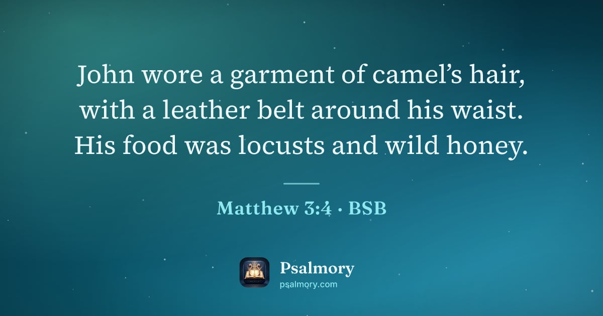 Matthew 3:4 verse artwork: John wore a garment of camel’s hair, with a leather belt around his waist. His food was…