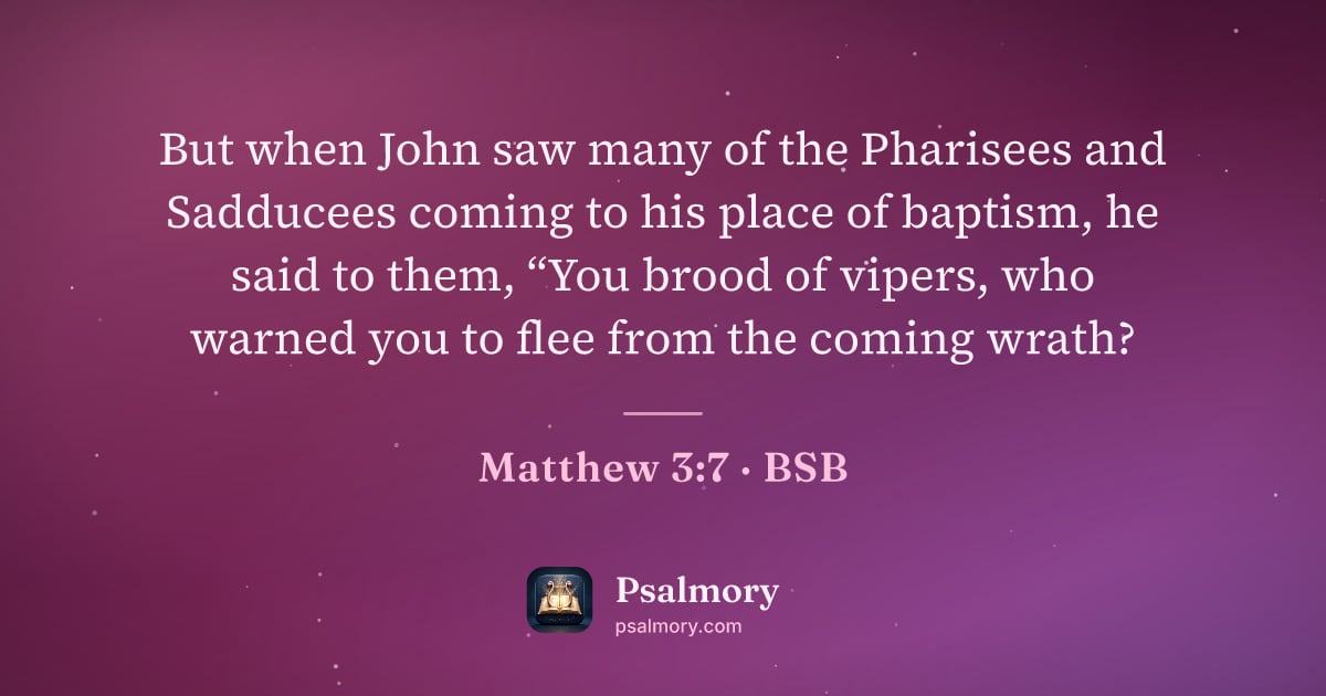 Matthew 3:7 verse artwork: But when John saw many of the Pharisees and Sadducees coming to his place of baptism, he…