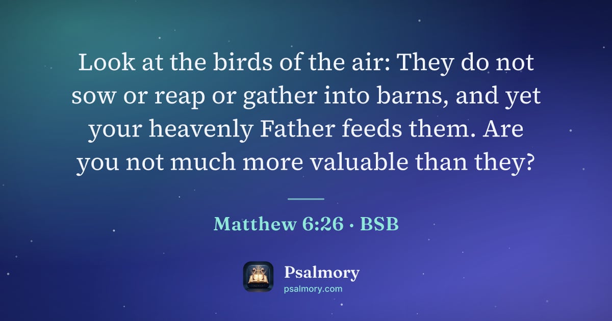 Matthew 6:26 verse artwork: Look at the birds of the air: They do not sow or reap or gather into barns, and yet your…