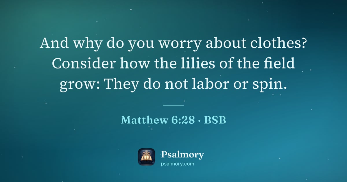Matthew 6:28 verse artwork: And why do you worry about clothes? Consider how the lilies of the field grow: They do…