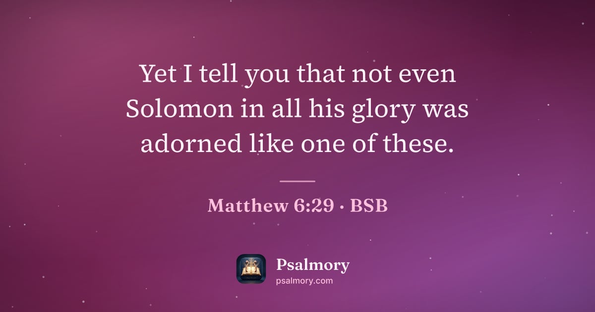 Matthew 6:29 verse artwork: Yet I tell you that not even Solomon in all his glory was adorned like one of these.