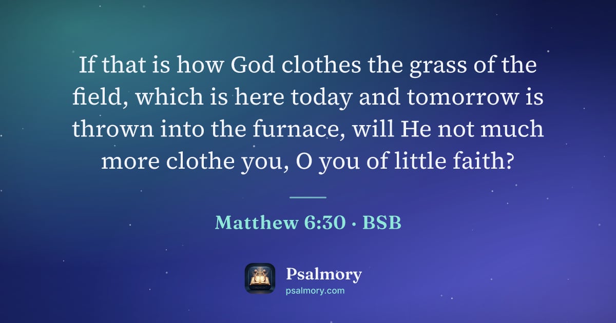 Matthew 6:30 verse artwork: If that is how God clothes the grass of the field, which is here today and tomorrow is…