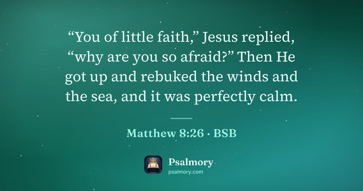 Matthew 8:26 verse artwork: “You of little faith,” Jesus replied, “why are you so afraid?” Then He got up and…