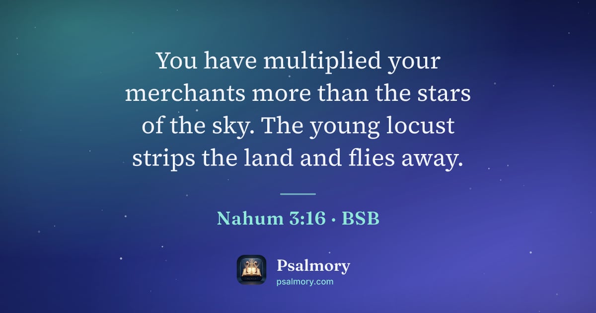 Nahum 3:16 verse artwork: You have multiplied your merchants more than the stars of the sky. The young locust…