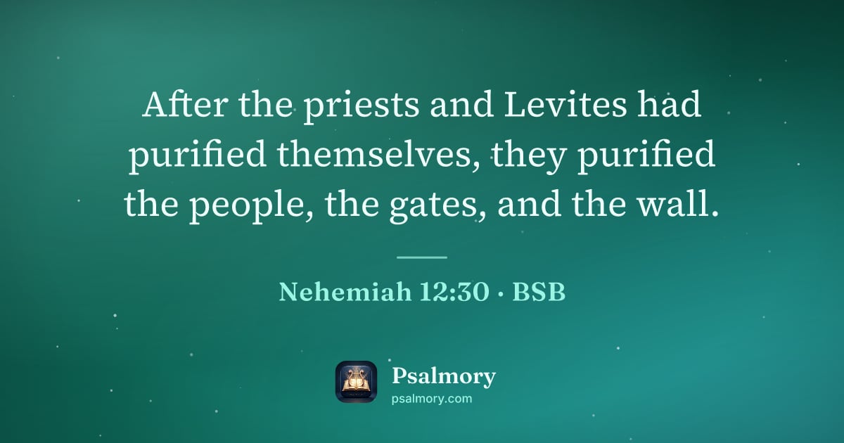 Nehemiah 12:30 verse artwork: After the priests and Levites had purified themselves, they purified the people, the…
