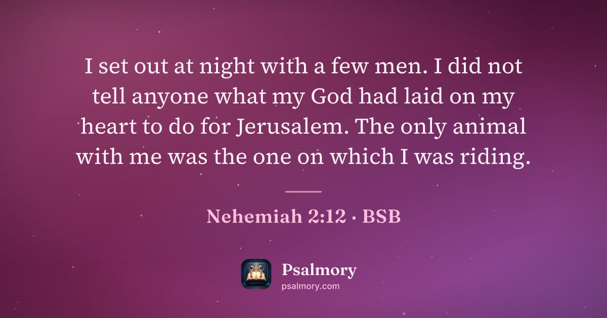Nehemiah 2:12 verse artwork: I set out at night with a few men. I did not tell anyone what my God had laid on my…