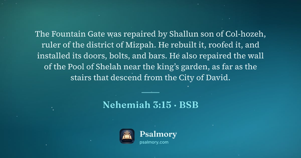 Nehemiah 3:15 verse artwork: The Fountain Gate was repaired by Shallun son of Col-hozeh, ruler of the district of…
