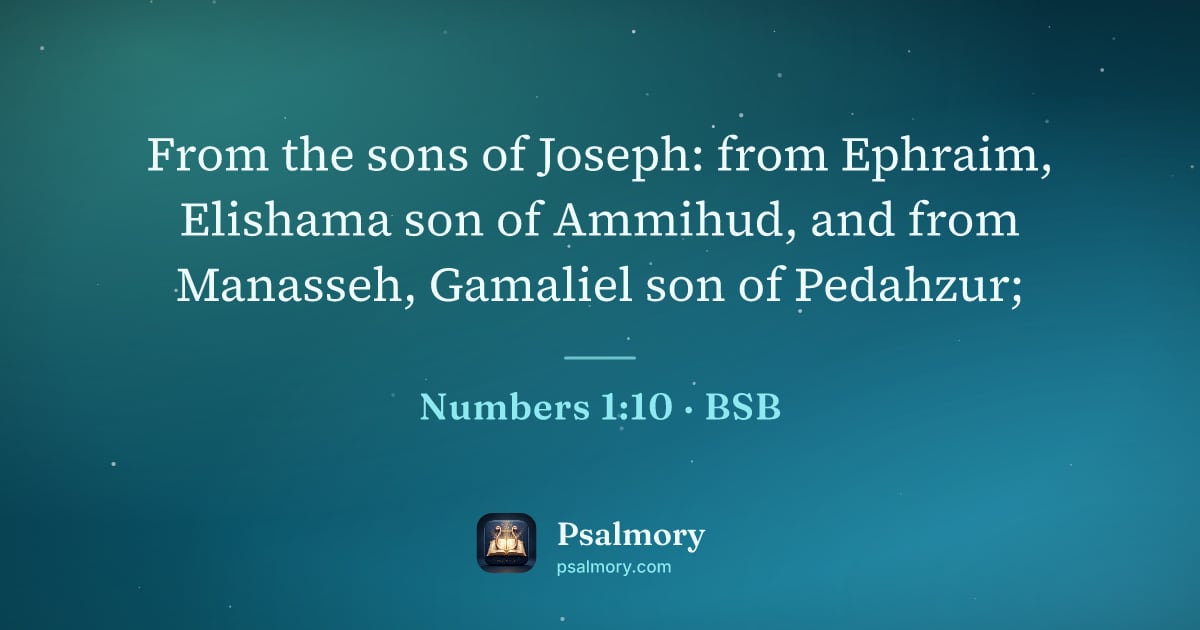 Numbers 1:10 verse artwork: From the sons of Joseph: from Ephraim, Elishama son of Ammihud, and from Manasseh,…