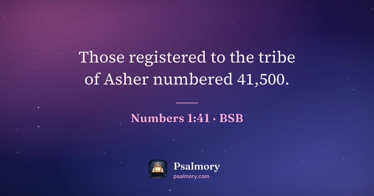 Numbers 1:41 verse artwork: Those registered to the tribe of Asher numbered 41,500.