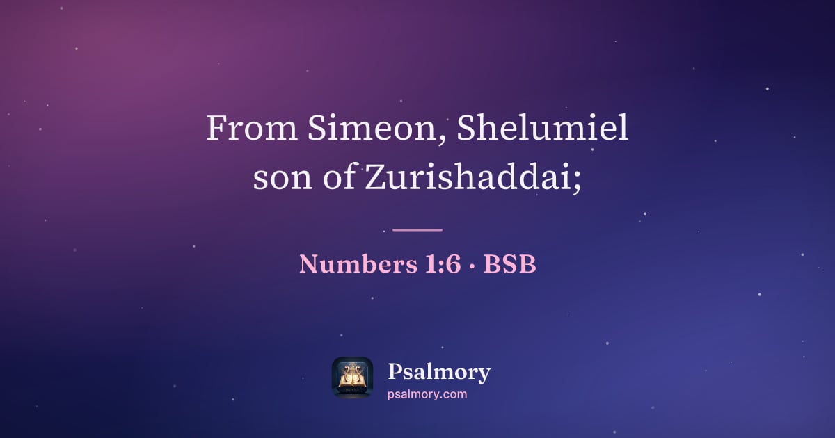 Numbers 1:6 verse artwork: From Simeon, Shelumiel son of Zurishaddai;