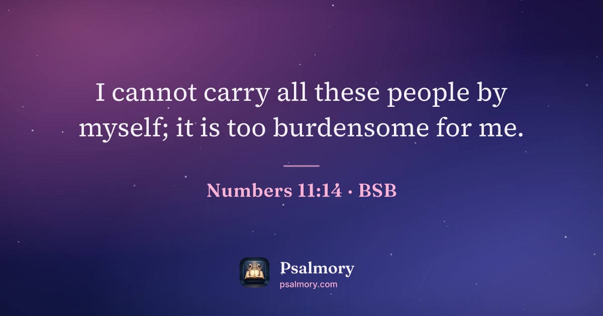 Numbers 11:14 verse artwork: I cannot carry all these people by myself; it is too burdensome for me.