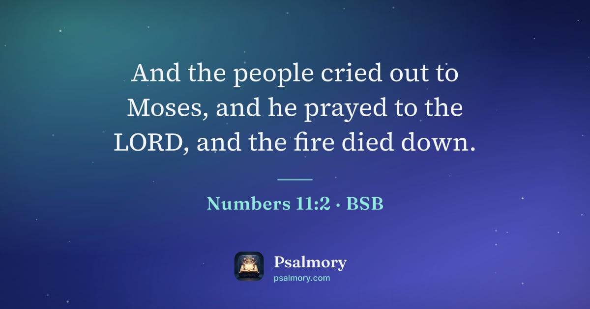 Numbers 11:2 verse artwork: And the people cried out to Moses, and he prayed to the LORD, and the fire died down.