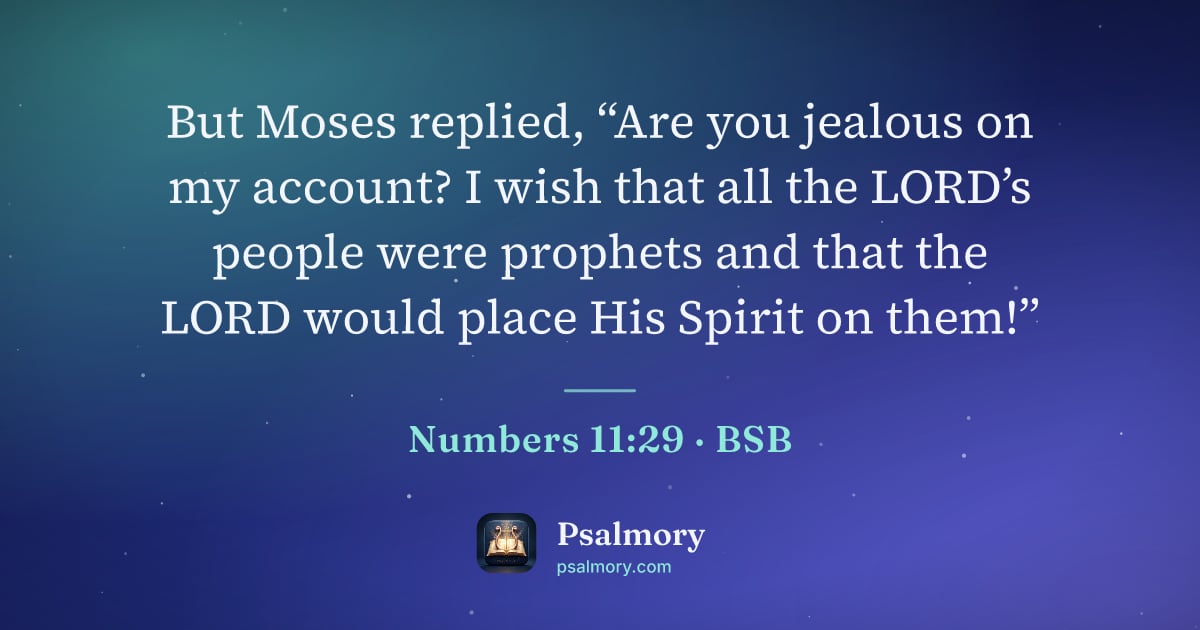Numbers 11:29 verse artwork: But Moses replied, “Are you jealous on my account? I wish that all the LORD’s people…