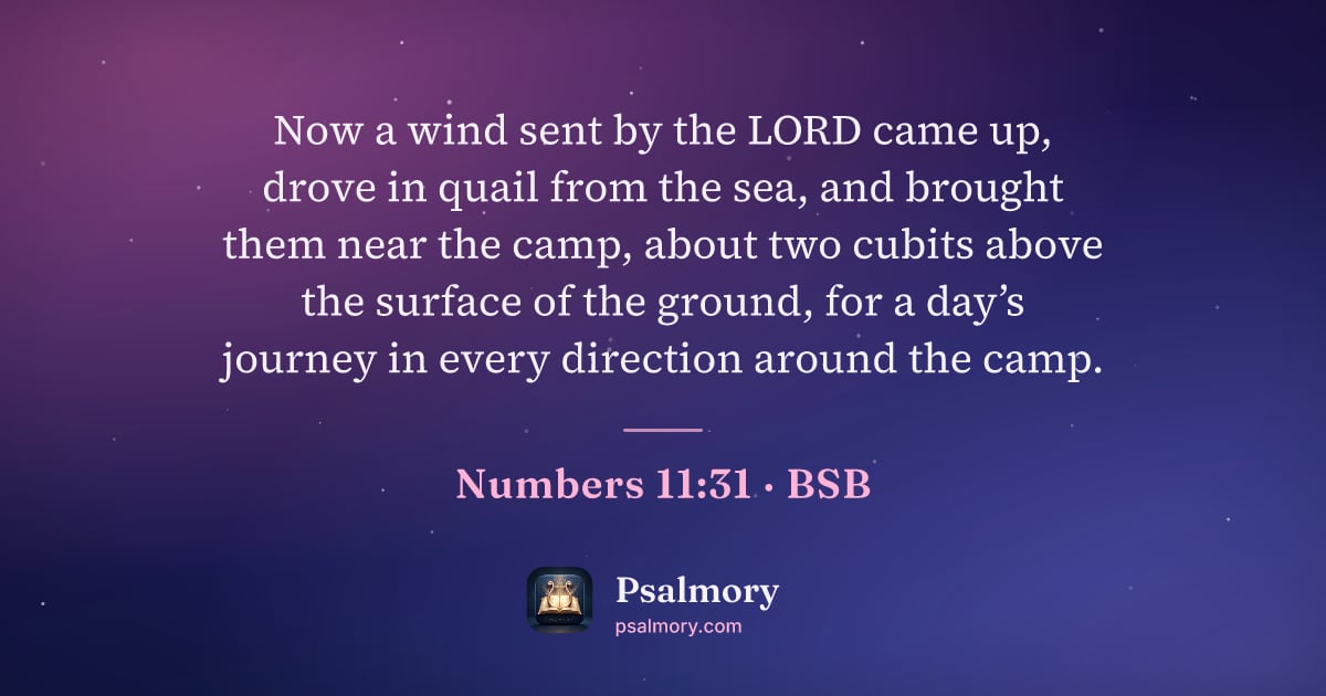Numbers 11:31 verse artwork: Now a wind sent by the LORD came up, drove in quail from the sea, and brought them near…