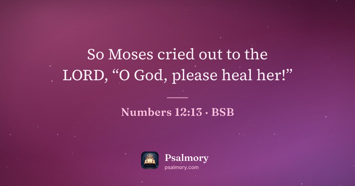 Numbers 12:13 verse artwork: So Moses cried out to the LORD, “O God, please heal her!”