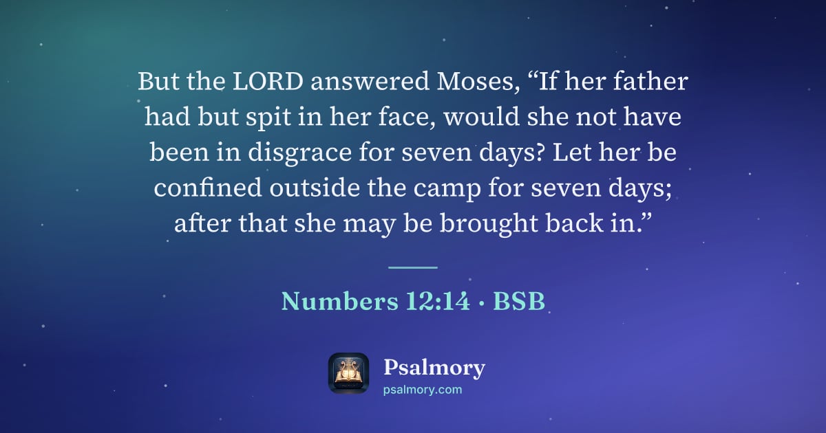 Numbers 12:14 verse artwork: But the LORD answered Moses, “If her father had but spit in her face, would she not have…