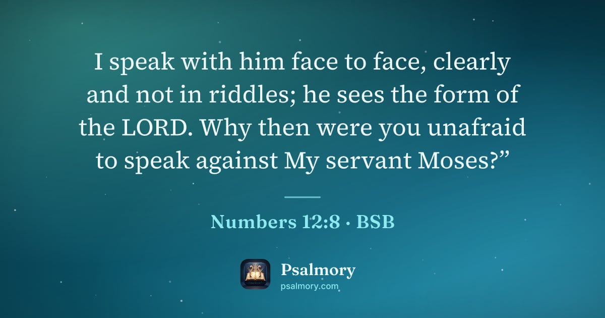 Numbers 12:8 verse artwork: I speak with him face to face, clearly and not in riddles; he sees the form of the LORD.…