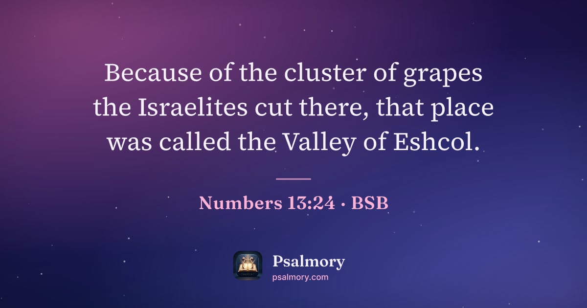 Numbers 13:24 verse artwork: Because of the cluster of grapes the Israelites cut there, that place was called the…