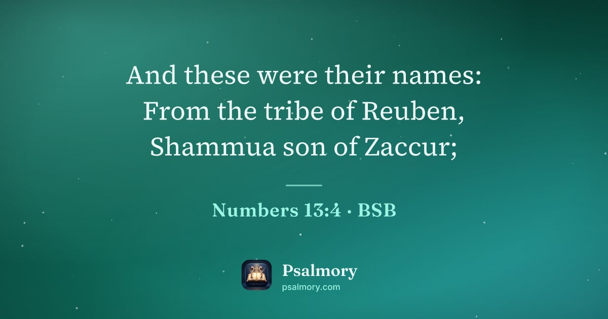 Numbers 13:4 verse artwork: And these were their names: From the tribe of Reuben, Shammua son of Zaccur;