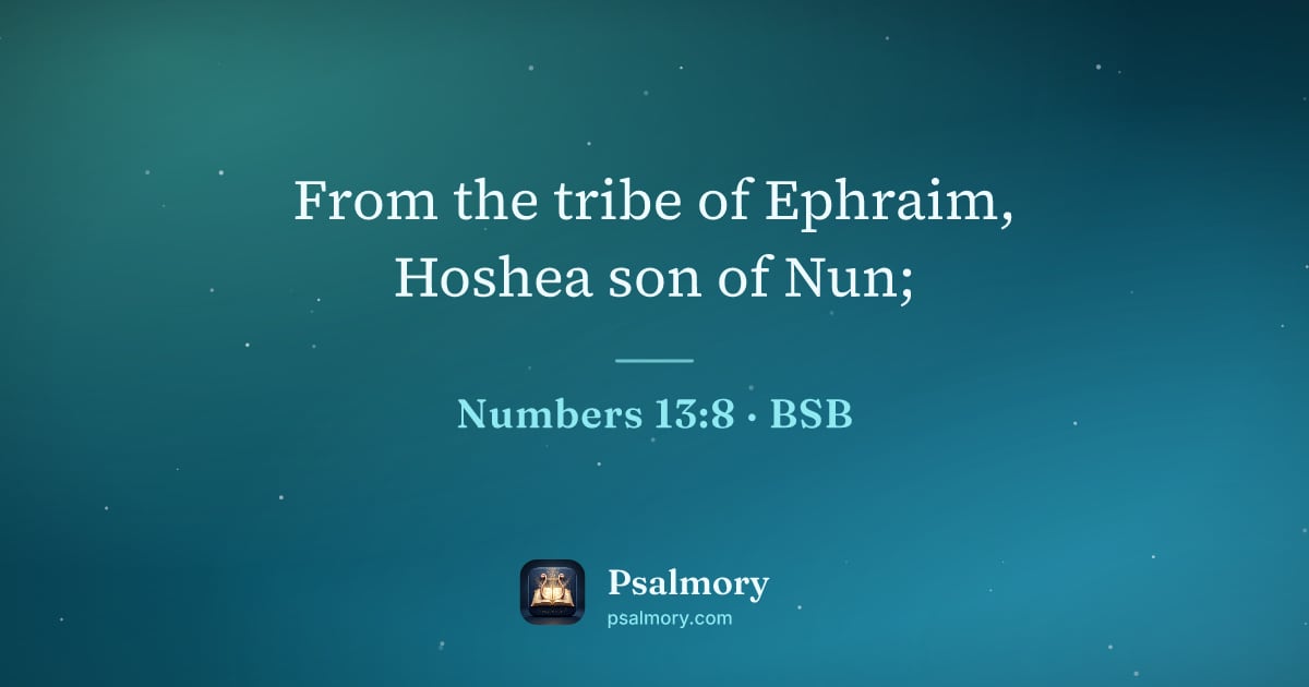 Numbers 13:8 verse artwork: From the tribe of Ephraim, Hoshea son of Nun;