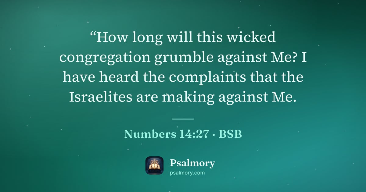 Numbers 14:27 verse artwork: “How long will this wicked congregation grumble against Me? I have heard the complaints…