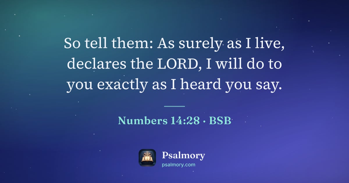 Numbers 14:28 verse artwork: So tell them: As surely as I live, declares the LORD, I will do to you exactly as I…