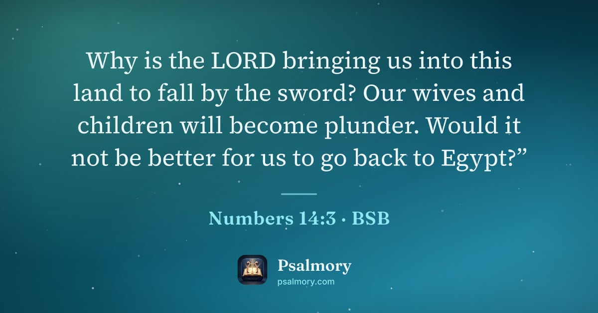Numbers 14:3 verse artwork: Why is the LORD bringing us into this land to fall by the sword? Our wives and children…