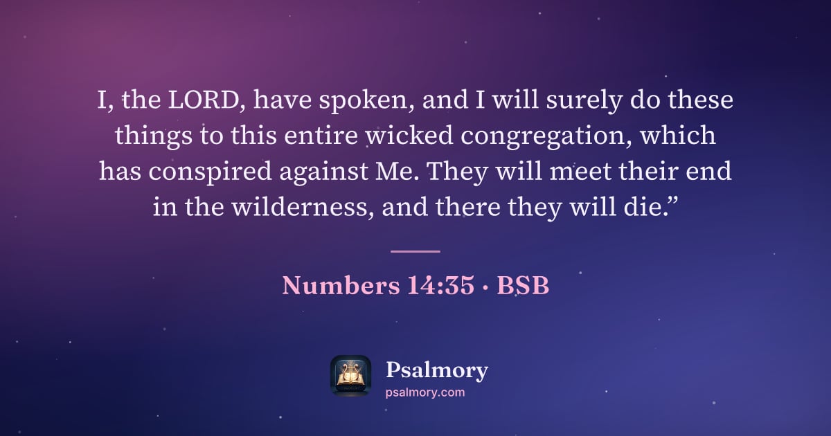Numbers 14:35 verse artwork: I, the LORD, have spoken, and I will surely do these things to this entire wicked…