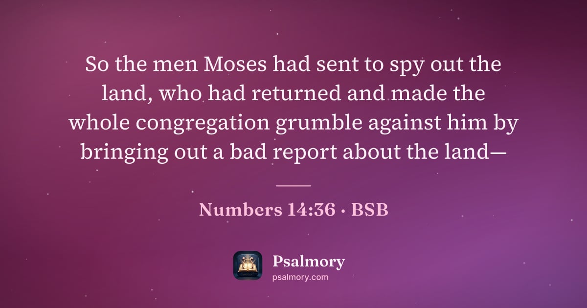 Numbers 14:36 verse artwork: So the men Moses had sent to spy out the land, who had returned and made the whole…