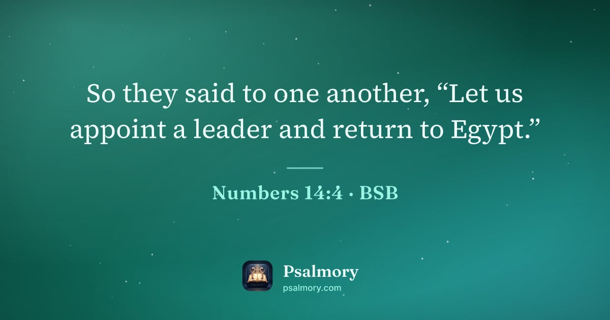 Numbers 14:4 verse artwork: So they said to one another, “Let us appoint a leader and return to Egypt.”