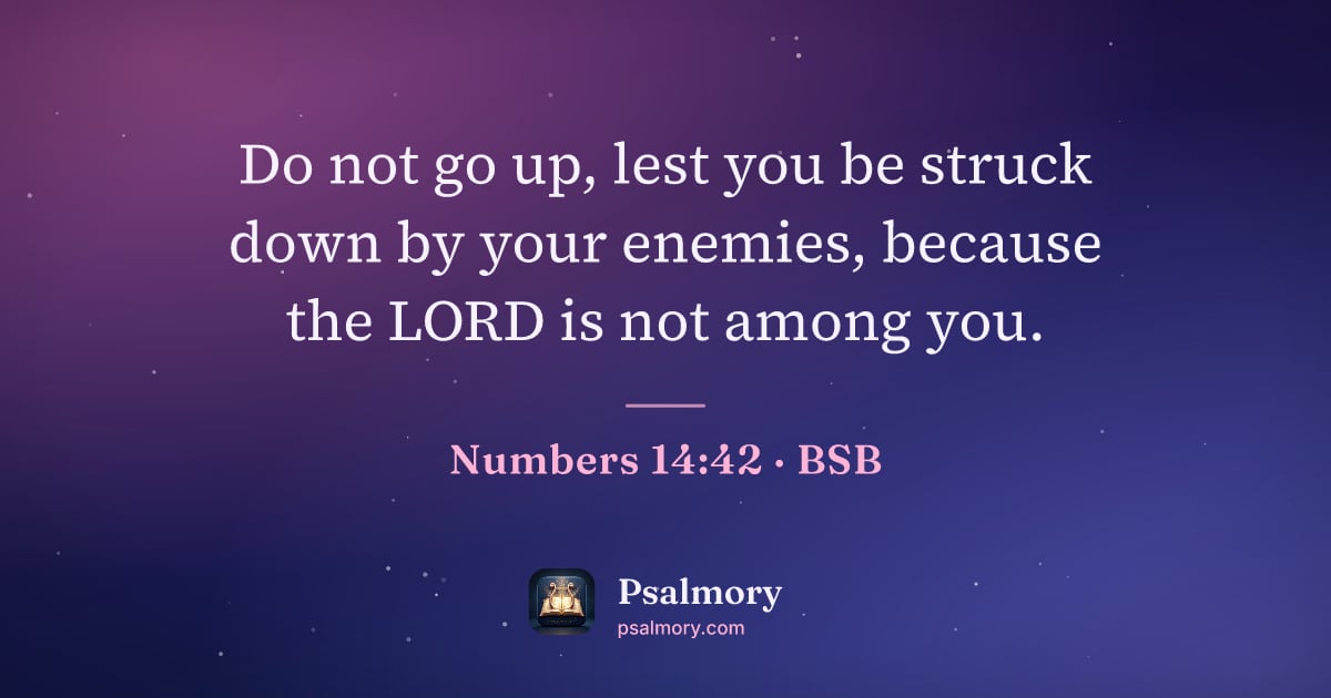 Numbers 14:42 verse artwork: Do not go up, lest you be struck down by your enemies, because the LORD is not among you.