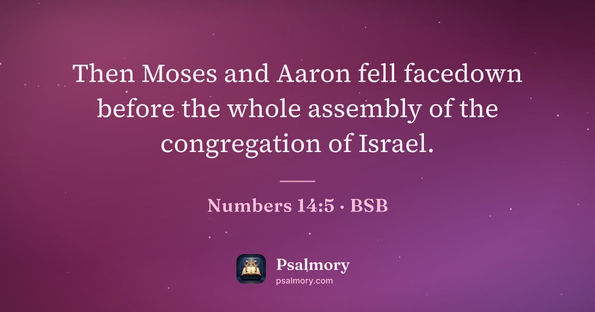 Numbers 14:5 verse artwork: Then Moses and Aaron fell facedown before the whole assembly of the congregation of…
