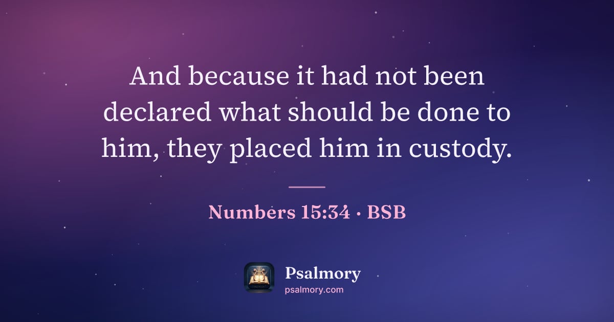 Numbers 15:34 verse artwork: And because it had not been declared what should be done to him, they placed him in…