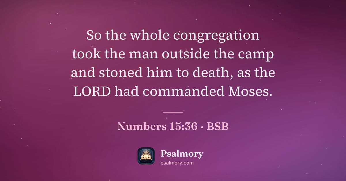 Numbers 15:36 verse artwork: So the whole congregation took the man outside the camp and stoned him to death, as the…