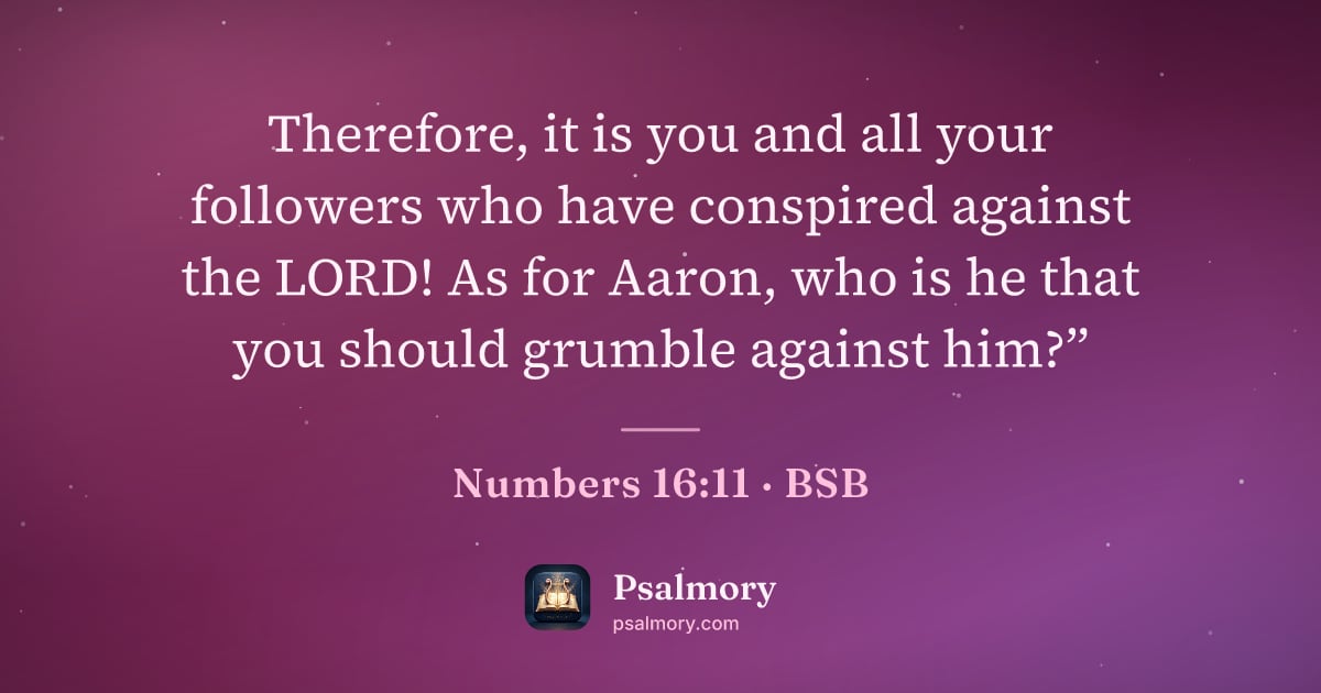 Numbers 16:11 verse artwork: Therefore, it is you and all your followers who have conspired against the LORD! As for…