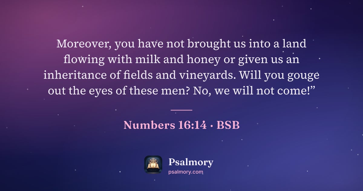 Numbers 16:14 verse artwork: Moreover, you have not brought us into a land flowing with milk and honey or given us an…
