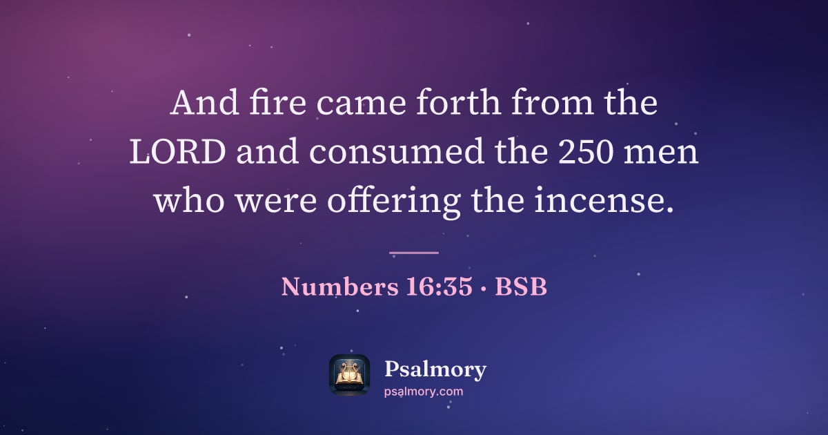 Numbers 16:35 verse artwork: And fire came forth from the LORD and consumed the 250 men who were offering the incense.