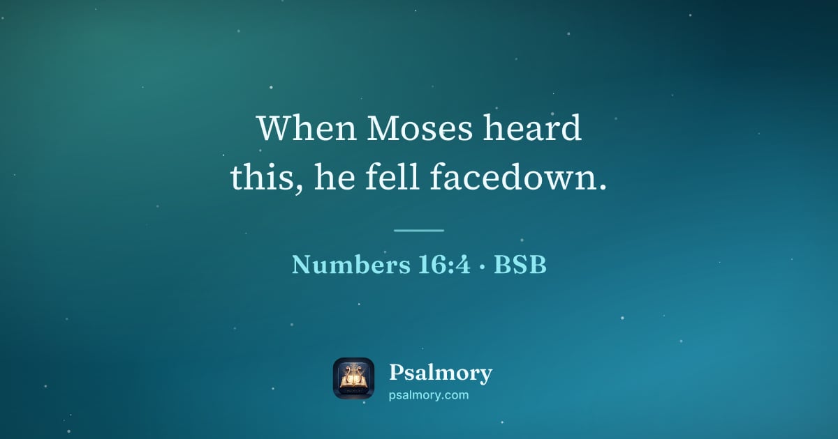 Numbers 16:4 verse artwork: When Moses heard this, he fell facedown.