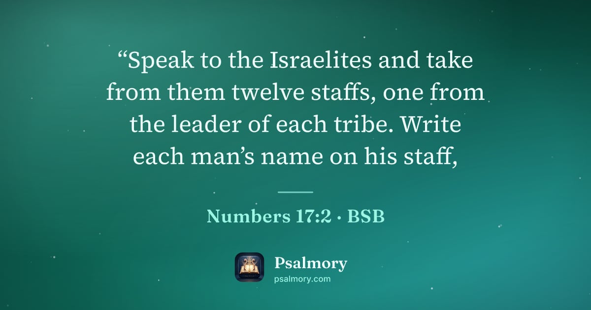 Numbers 17:2 verse artwork: “Speak to the Israelites and take from them twelve staffs, one from the leader of each…