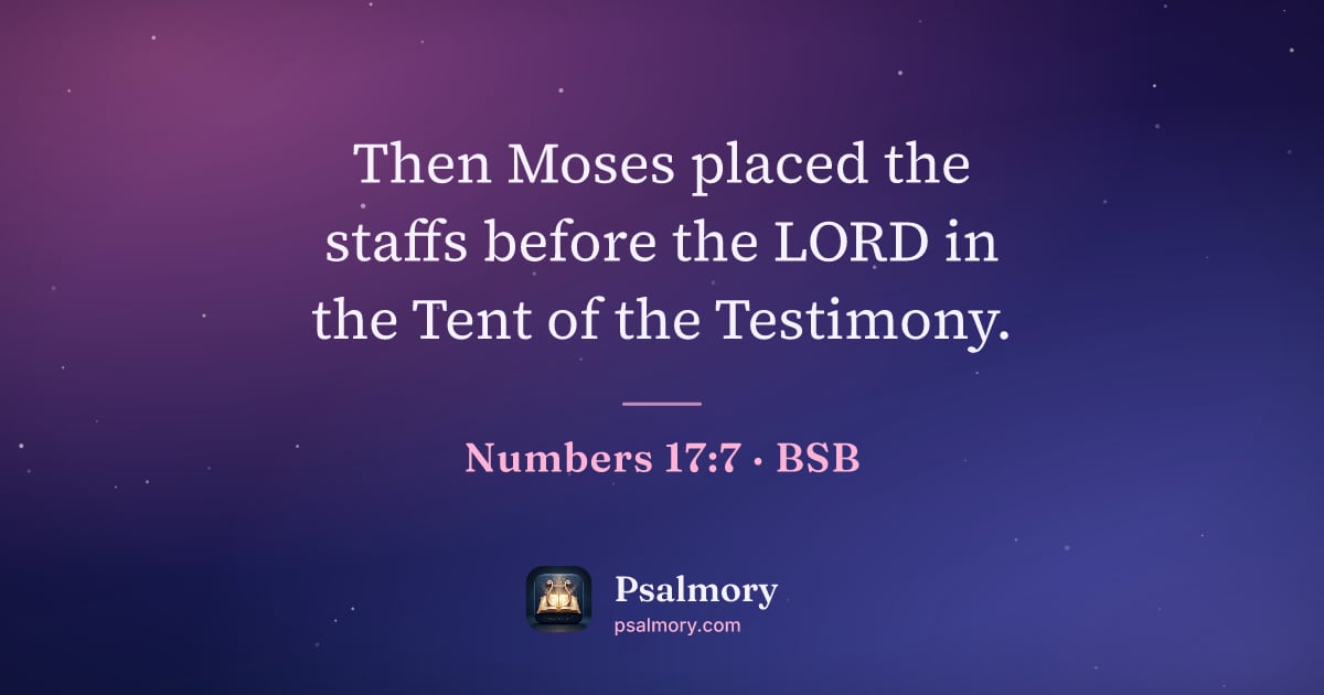 Numbers 17:7 verse artwork: Then Moses placed the staffs before the LORD in the Tent of the Testimony.