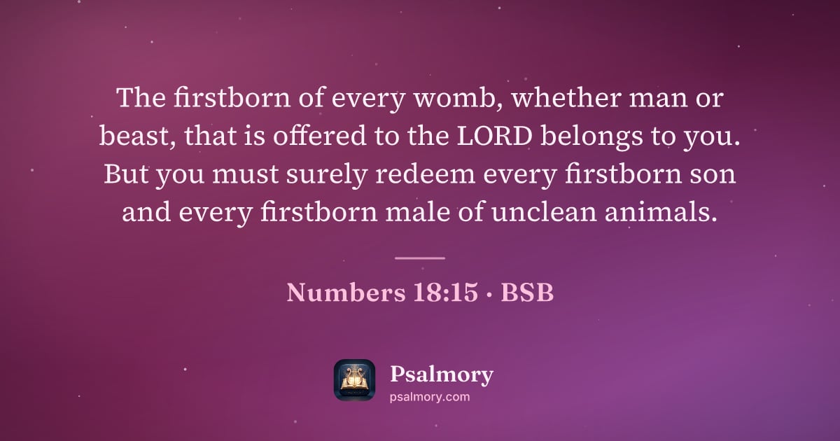 Numbers 18:15 verse artwork: The firstborn of every womb, whether man or beast, that is offered to the LORD belongs…