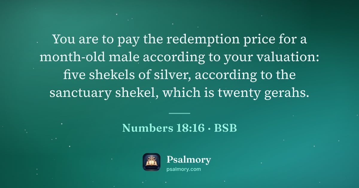 Numbers 18:16 verse artwork: You are to pay the redemption price for a month-old male according to your valuation:…