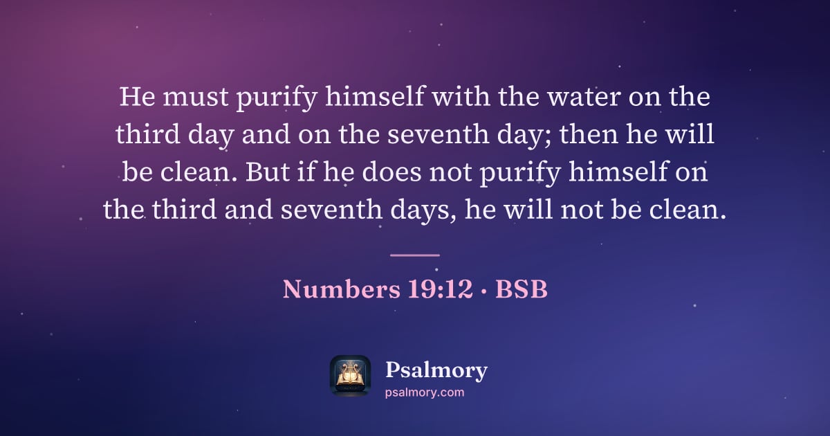 Numbers 19:12 verse artwork: He must purify himself with the water on the third day and on the seventh day; then he…