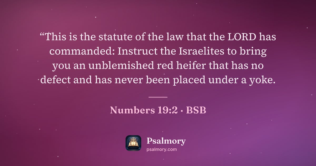 Numbers 19:2 verse artwork: “This is the statute of the law that the LORD has commanded: Instruct the Israelites to…
