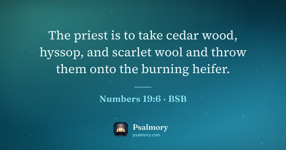 Numbers 19:6 verse artwork: The priest is to take cedar wood, hyssop, and scarlet wool and throw them onto the…