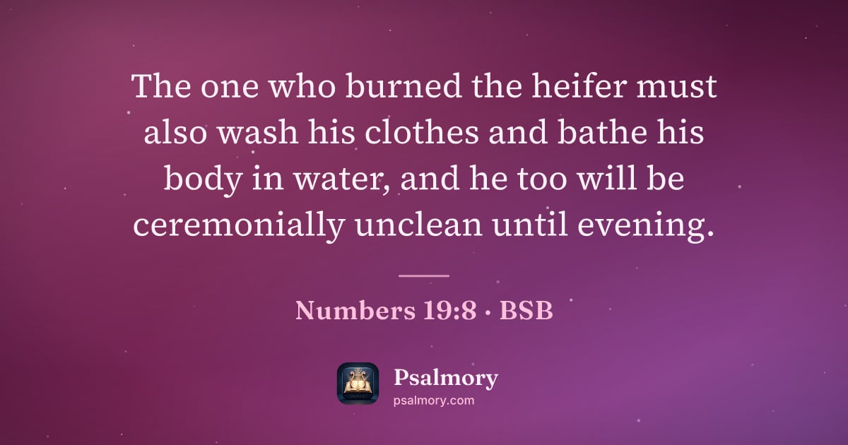 Numbers 19:8 verse artwork: The one who burned the heifer must also wash his clothes and bathe his body in water,…